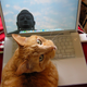 Illustration for article titled 19 Adorable Animals Using Technology Adorably